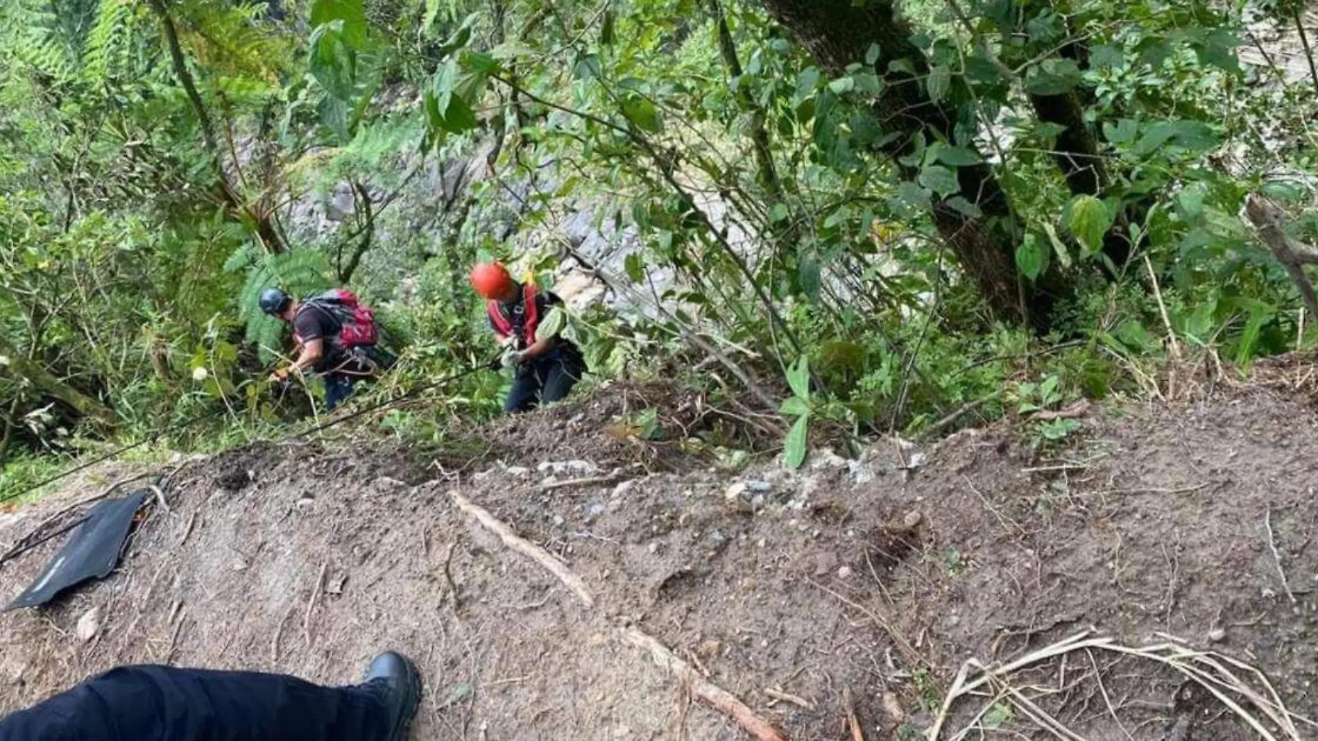 Protecion rio apulco